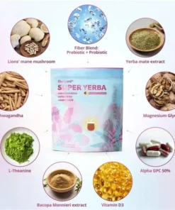 Ourlyard® Fat Burning & Blood Sugar Support Super Yerba Mate Instant Tea Powder