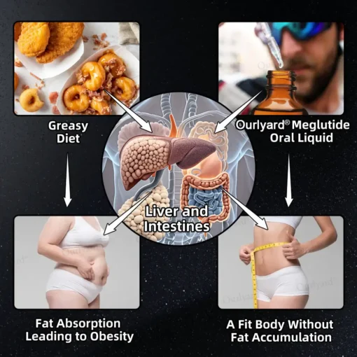Ourlyard® 𝐆𝐋𝐏-𝟏 𝐌𝐨𝐫𝐢𝐧𝐠𝐚 𝐒𝐥𝐢𝐦𝐦𝐢𝐧𝐠 & 𝐇𝐞𝐚𝐥𝐭𝐡 𝐁𝐨𝐨𝐬𝐭 𝐃𝐫𝐨𝐩𝐬