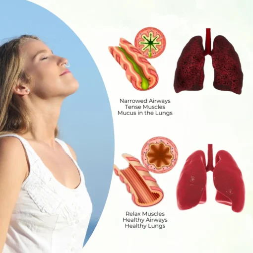 Ourlyard® Lung Detox Relief Nasal Ring